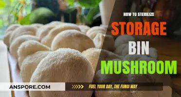 Sterilizing Storage Bins for Mushroom Cultivation: A Step-by-Step Guide