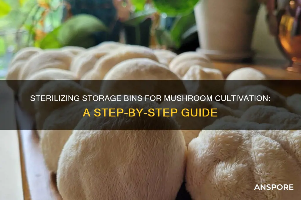 how to sterilize storage bin mushroom