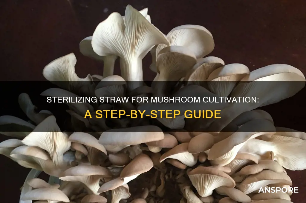 how to sterilize straw for mushroom
