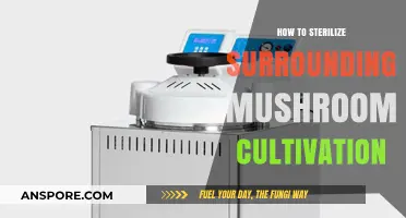 Effective Sterilization Techniques for Optimal Mushroom Cultivation Environment