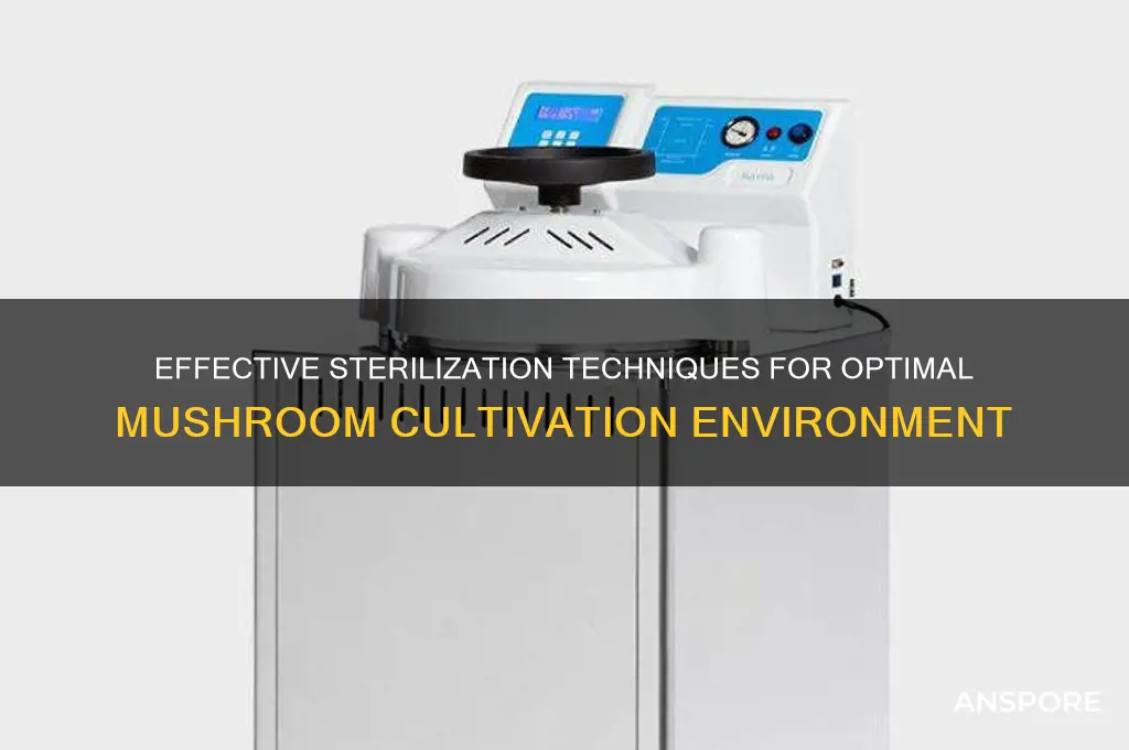 how to sterilize surroundings mushroom cultivation