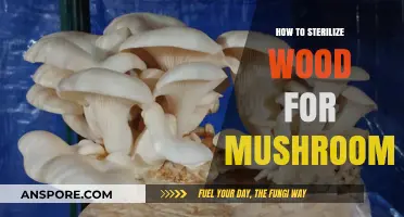 Sterilizing Wood for Mushroom Cultivation: A Step-by-Step Guide