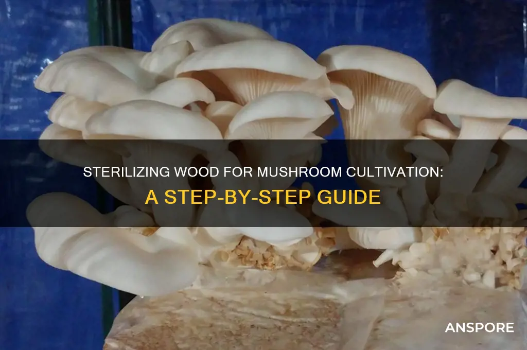 how to sterilize wood for mushrooms