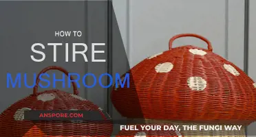 Storing Mushrooms: The Best Ways to Keep Them Fresh