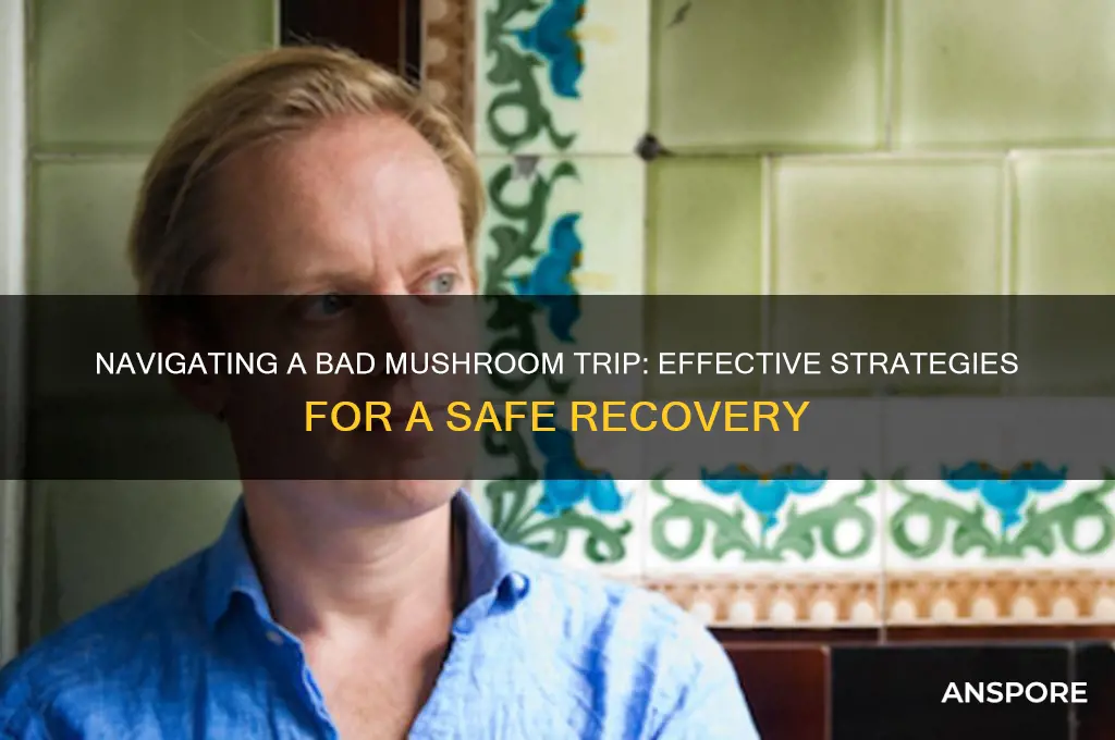 how to stop a bad mushroom trip