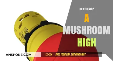 Effective Strategies to Safely Stop a Mushroom High Quickly