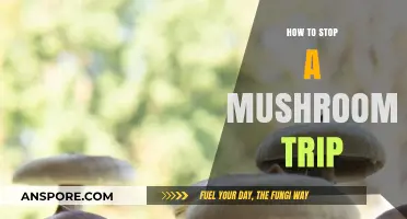 Grounding Techniques to Safely Halt a Mushroom Trip