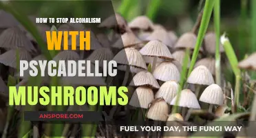 Healing Addiction: Psychedelic Mushrooms as a Path to Overcome Alcoholism