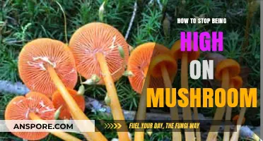 Grounding Techniques to Safely Come Down from a Mushroom High