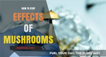 Effective Strategies to Counteract and Recover from Mushroom Effects Safely