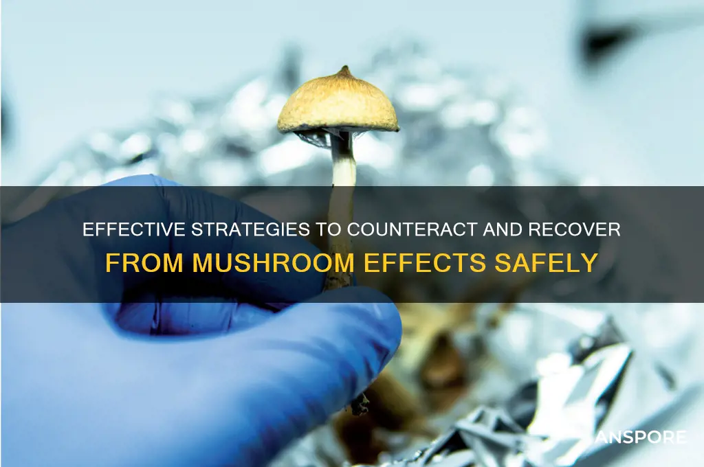 how to stop effects of mushrooms