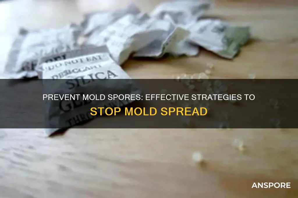 how to stop mold from shooting spores