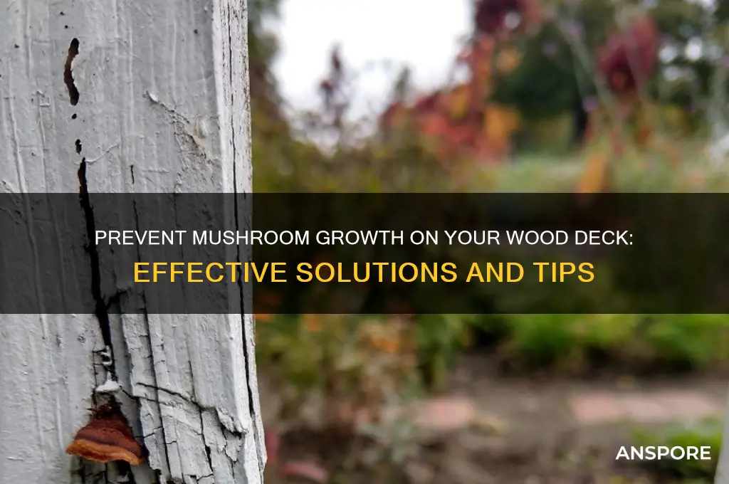 how to stop mushroom from growing on wood deck
