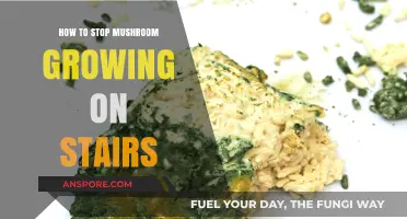 Prevent Mushroom Growth on Stairs: Effective Solutions and Tips