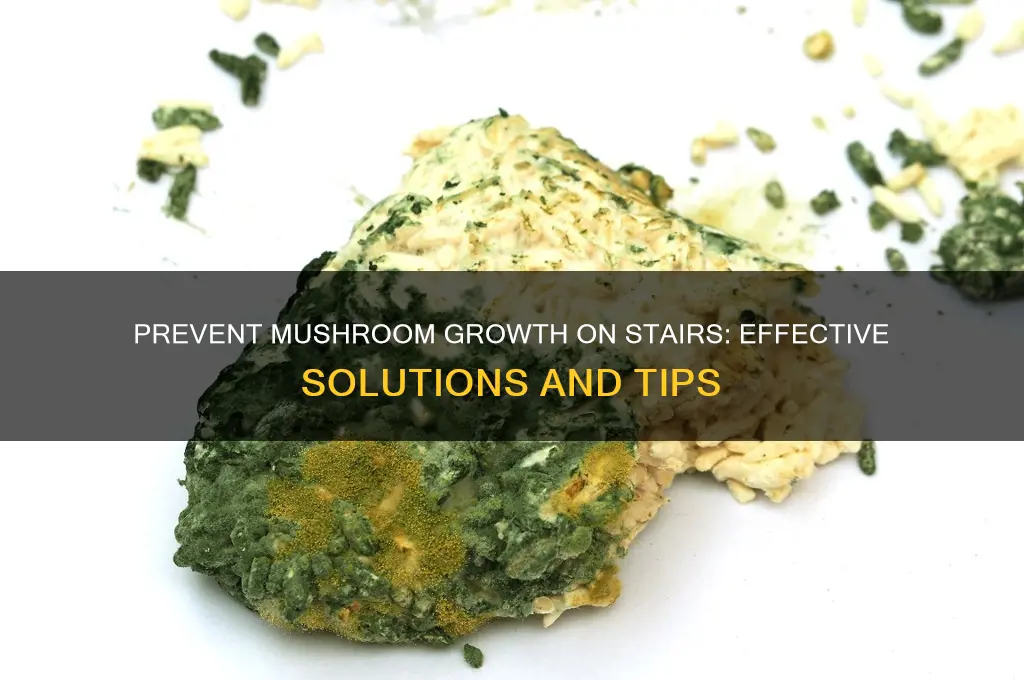 how to stop mushroom growing on stairs