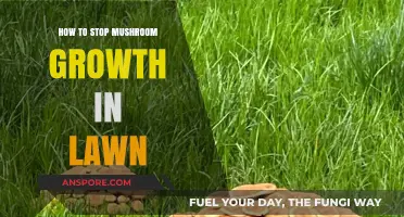 Effective Strategies to Prevent Mushroom Growth in Your Lawn