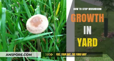 Effective Ways to Prevent and Control Mushroom Growth in Your Yard