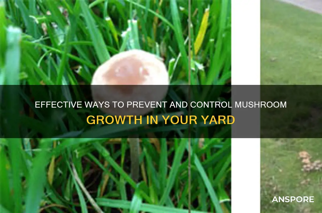 how to stop mushroom growth in yard