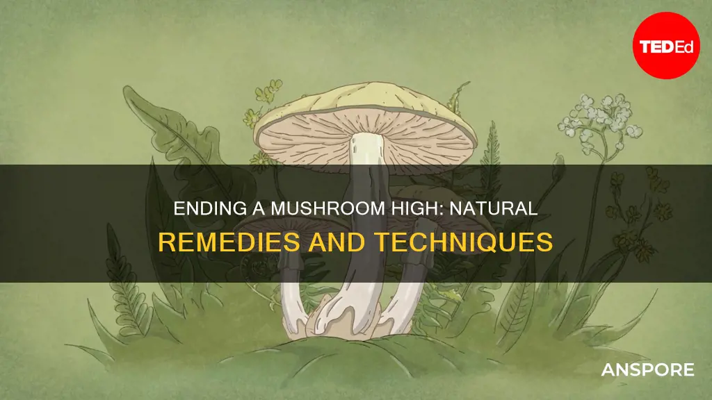 how to stop mushroom high