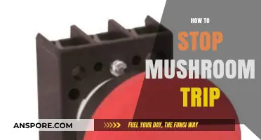 Calmly Ending a Mushroom Trip: Tips and Tricks