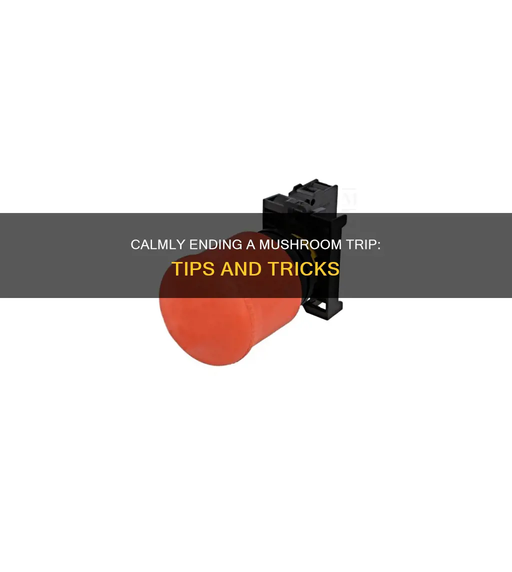 how to stop mushroom trip