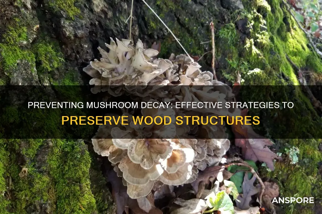 how to stop mushrooms from decaying wood