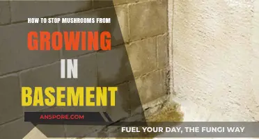 Prevent Basement Mushroom Growth: Effective Tips to Keep Your Space Fungus-Free