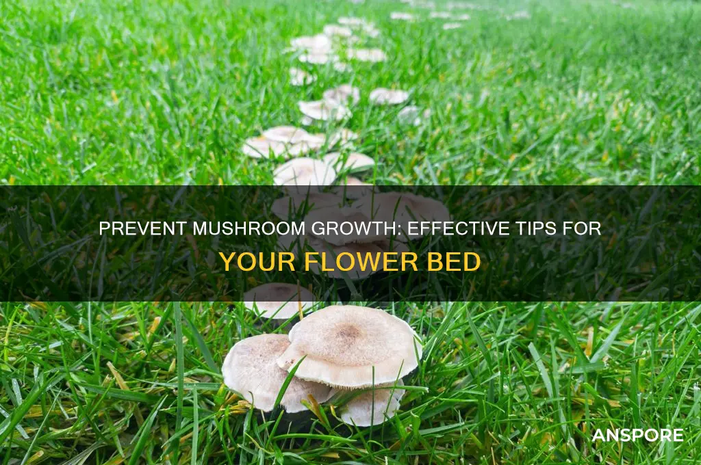 how to stop mushrooms from growing in flower bed