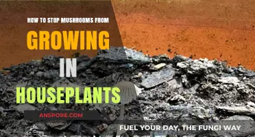 Prevent Mushrooms in Houseplants: Effective Tips for a Fungus-Free Home Garden