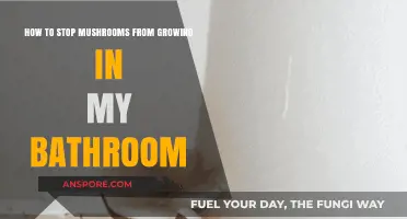 Prevent Bathroom Mushroom Growth: Effective Tips for a Fungus-Free Space