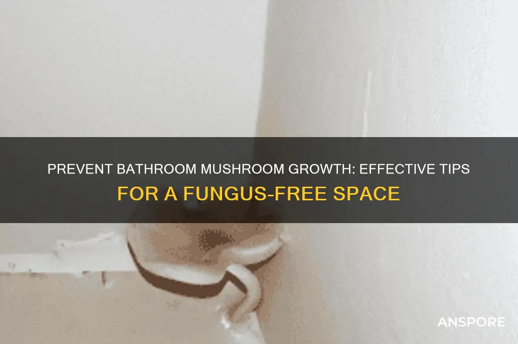 how to stop mushrooms from growing in my bathroom