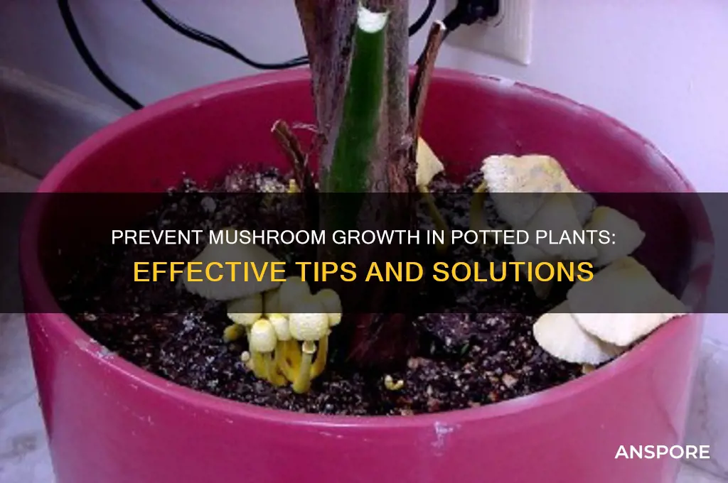 how to stop mushrooms from growing in my potted plants