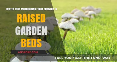 Prevent Mushroom Growth in Raised Beds: Effective Tips and Solutions