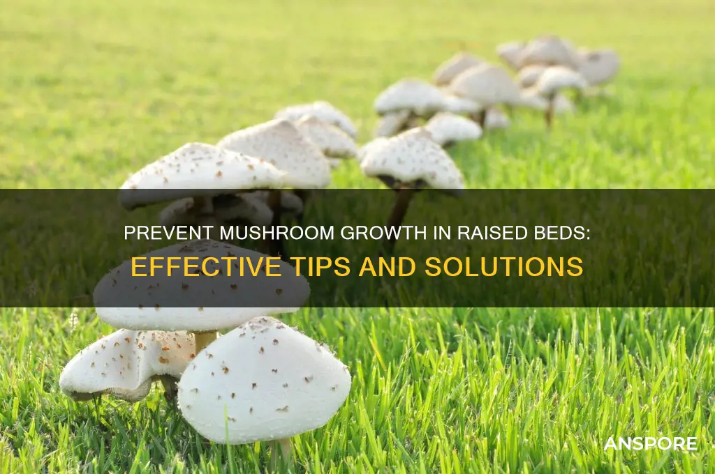 how to stop mushrooms from growing in raised garden beds