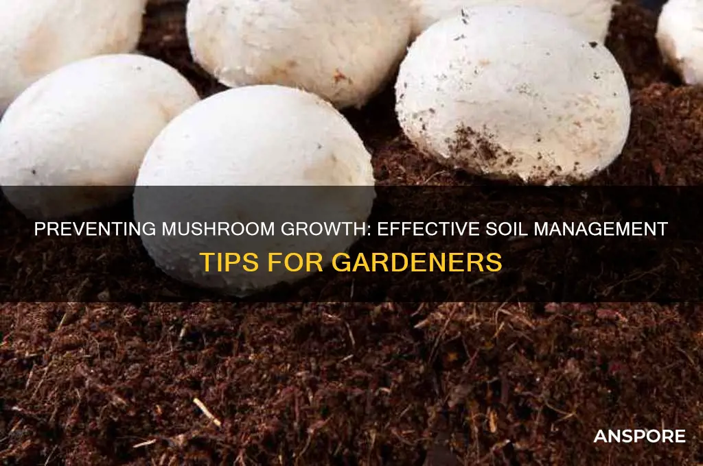 how to stop mushrooms from growing in soil