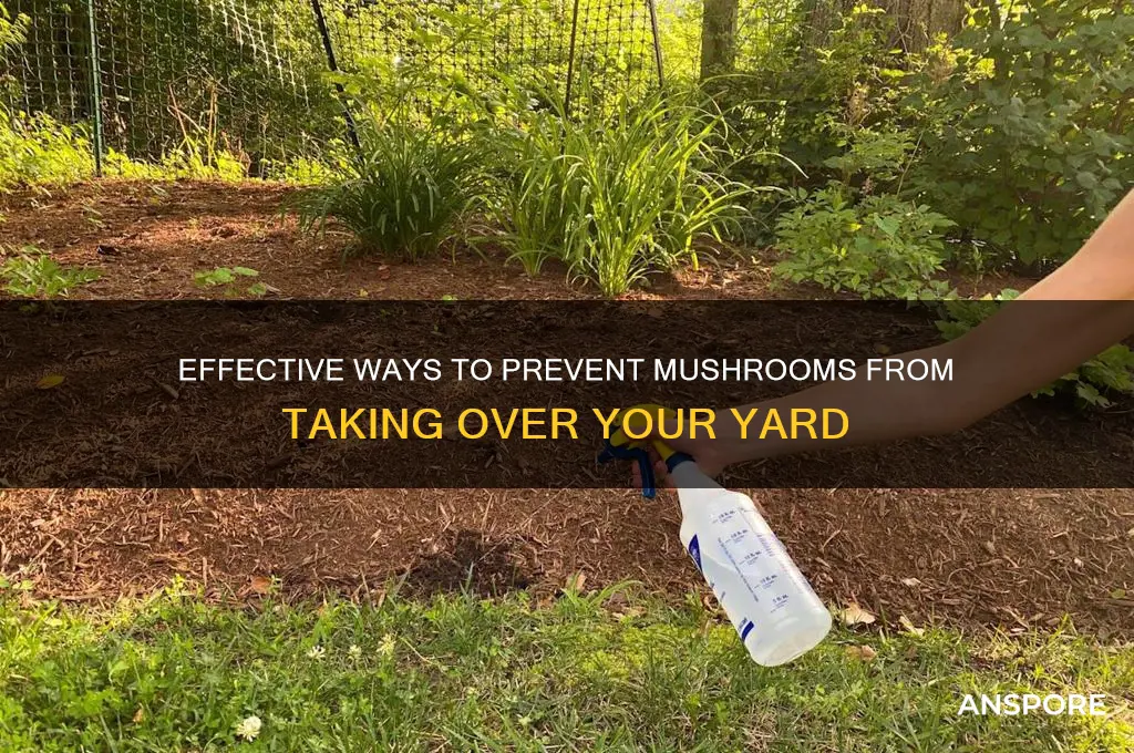 how to stop mushrooms from growing in your yard