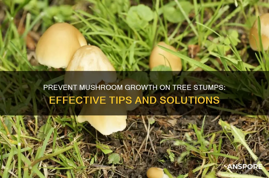 how to stop mushrooms from growing on tree stump