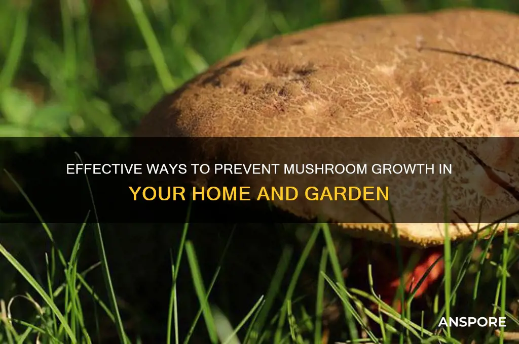 how to stop mushrooms from growing