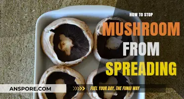 Prevent Mushroom Spread: Effective Strategies for Controlling Fungal Growth