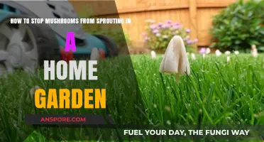 Prevent Mushroom Growth: Effective Tips for a Fungus-Free Home Garden