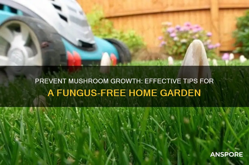 how to stop mushrooms from sprouting in a home garden