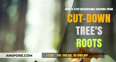 Prevent Mushrooms in Cut Tree Roots: Effective Strategies for Gardeners