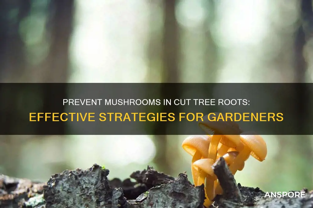 how to stop mushrooms growing from cut-down tree