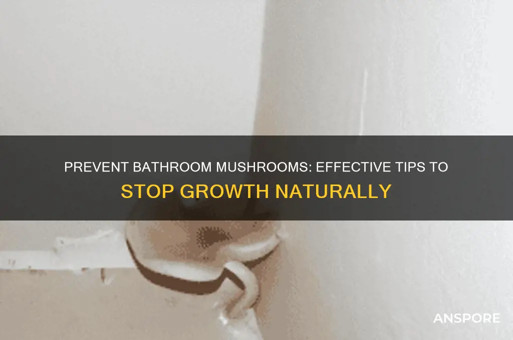 how to stop mushrooms growing in bathroom