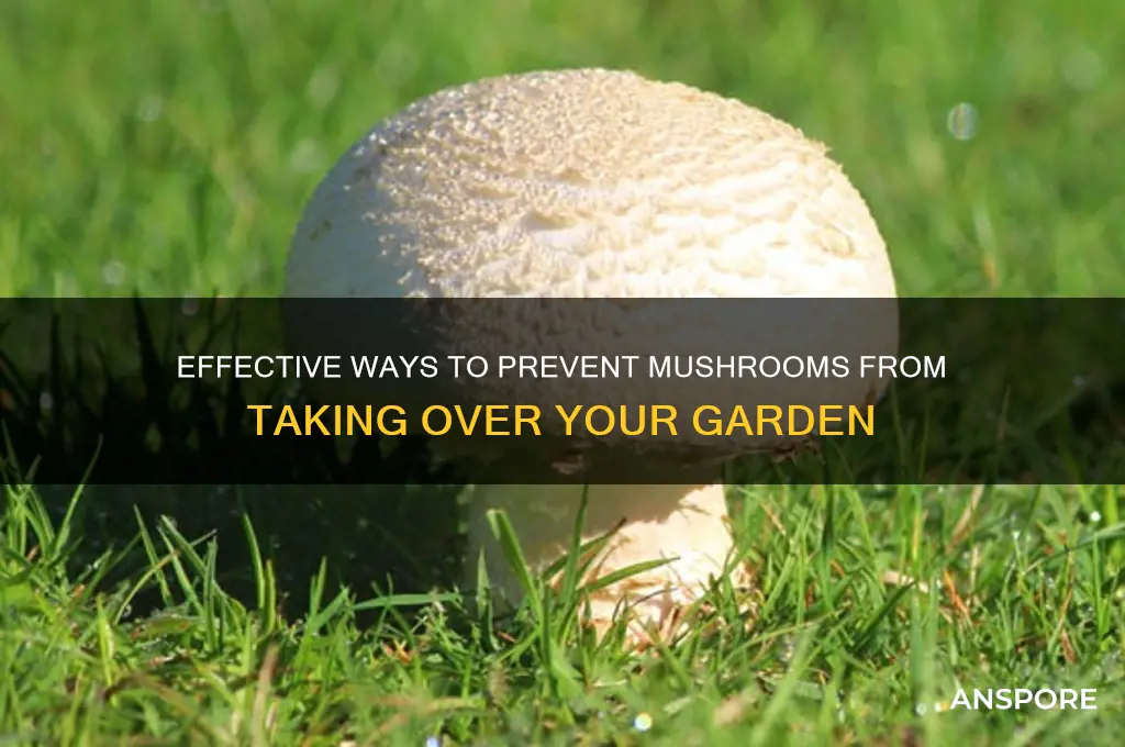 how to stop mushrooms growing in garden