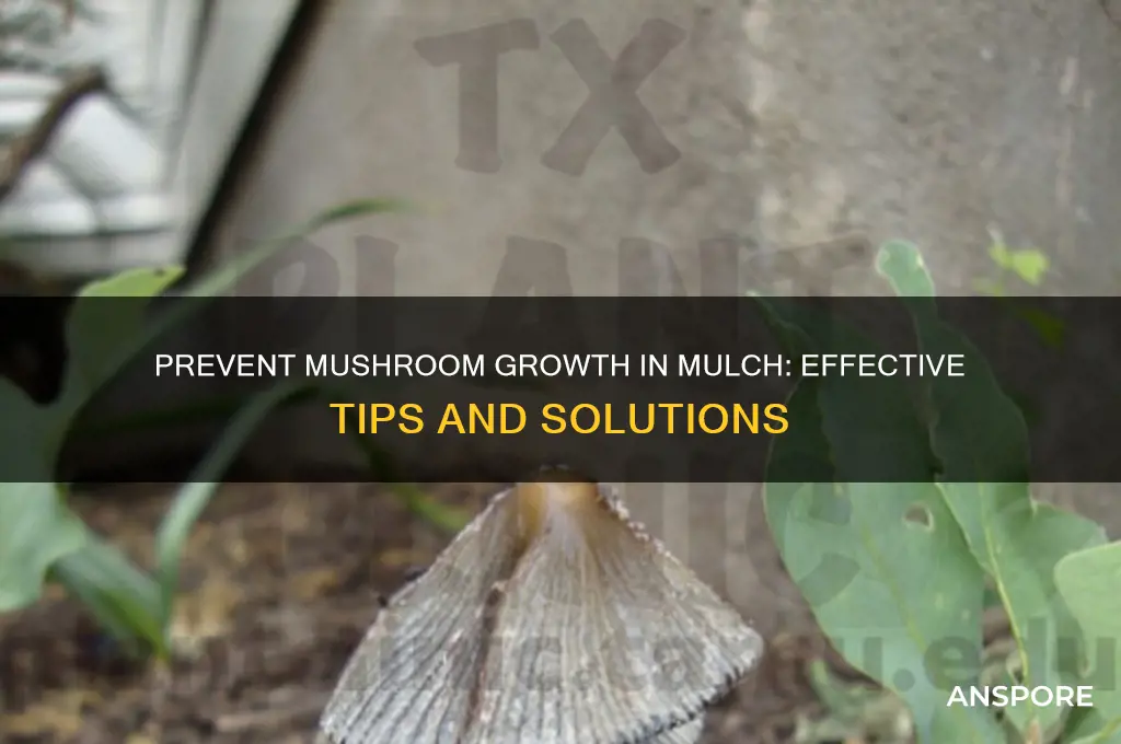 how to stop mushrooms growing in mulch