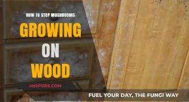 Preventing Mushroom Growth on Wood: Effective Strategies and Solutions
