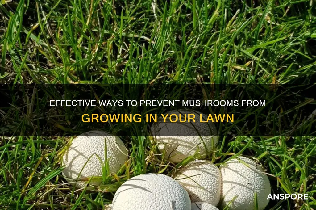 how to stop mushrooms in grass