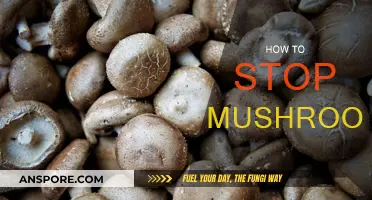 Preventing Mushrooms: Effective Strategies to Stop Unwanted Growth
