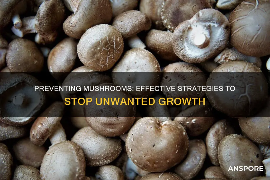 how to stop mushrooms